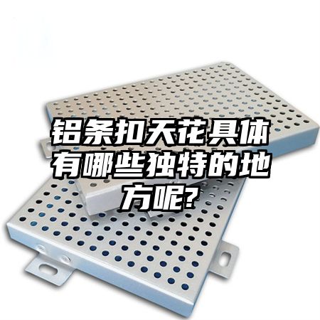 揭阳铝条扣天花具体有哪些独特的地方呢?